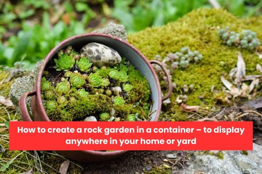 How to create a rock garden in a container – to display anywhere in your home or yard