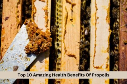 Top 10 Amazing Health Benefits Of Propolis